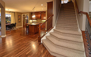 Cortez Services Residential